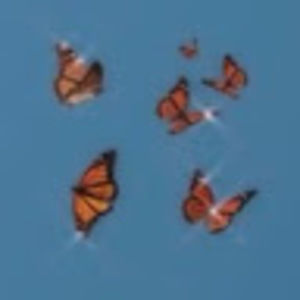 Meet your Posher, Kay